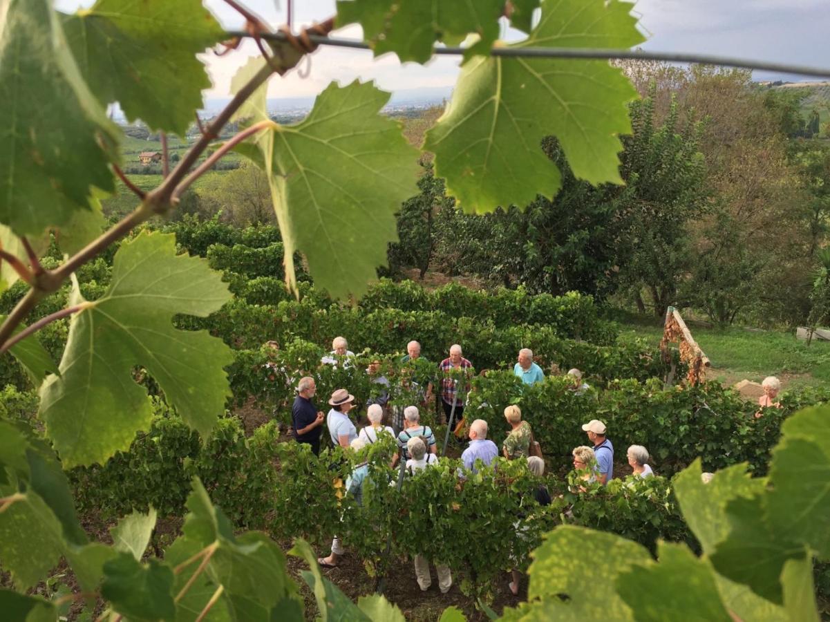 Merumalia Wine Resort Frascati Eksteriør billede