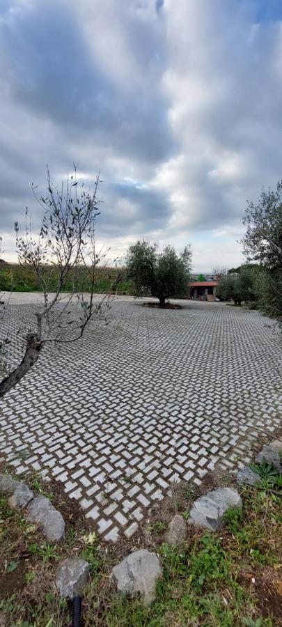 Merumalia Wine Resort Frascati Eksteriør billede