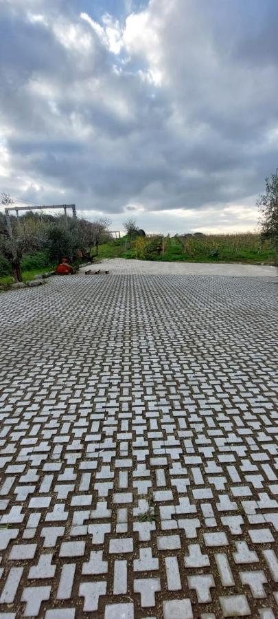 Merumalia Wine Resort Frascati Eksteriør billede
