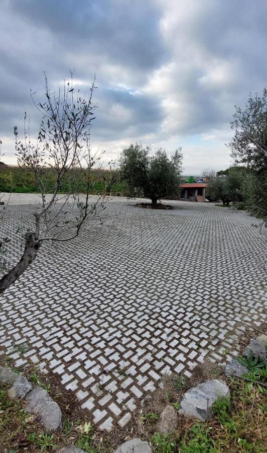 Merumalia Wine Resort Frascati Eksteriør billede