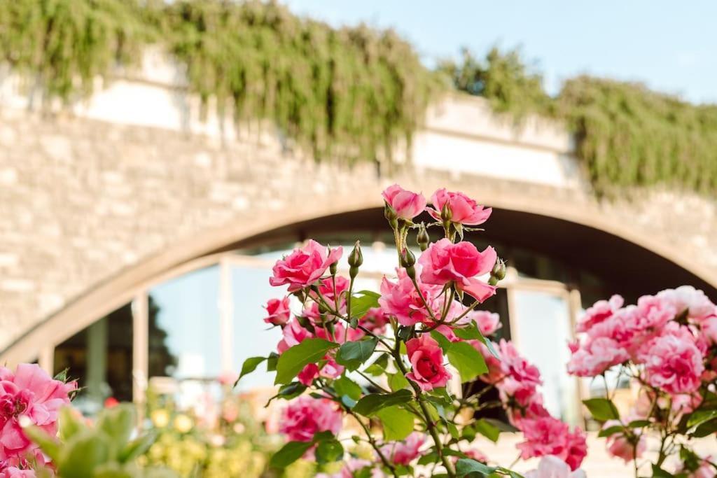 Merumalia Wine Resort Frascati Eksteriør billede