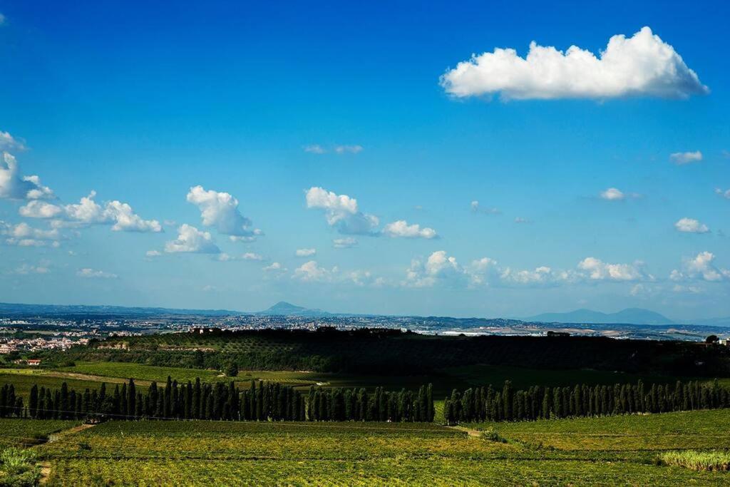 Merumalia Wine Resort Frascati Eksteriør billede