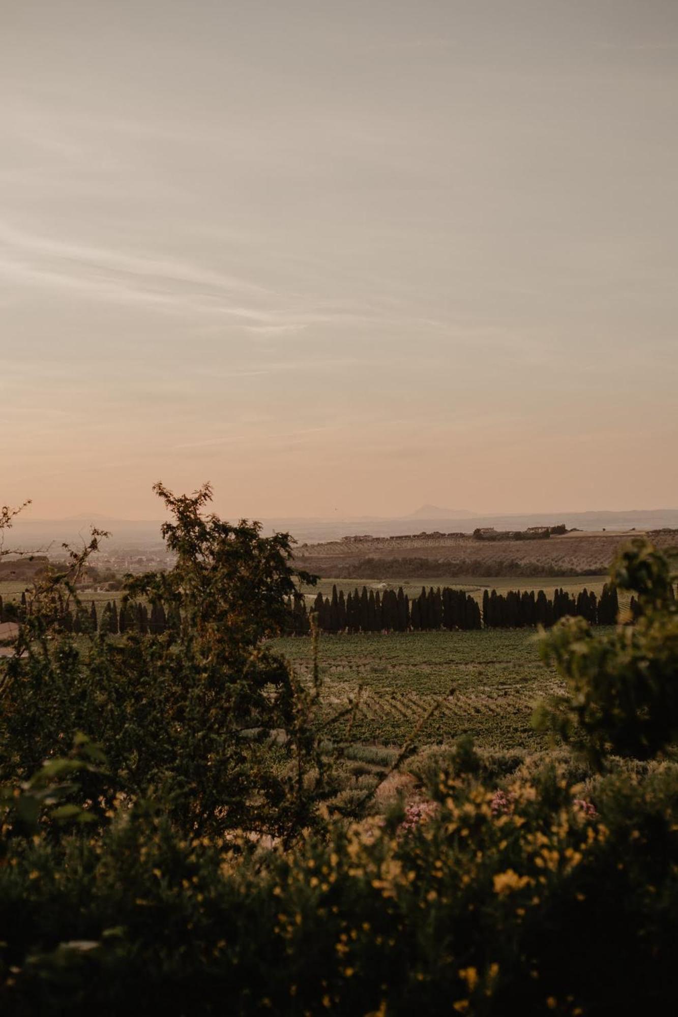 Merumalia Wine Resort Frascati Eksteriør billede