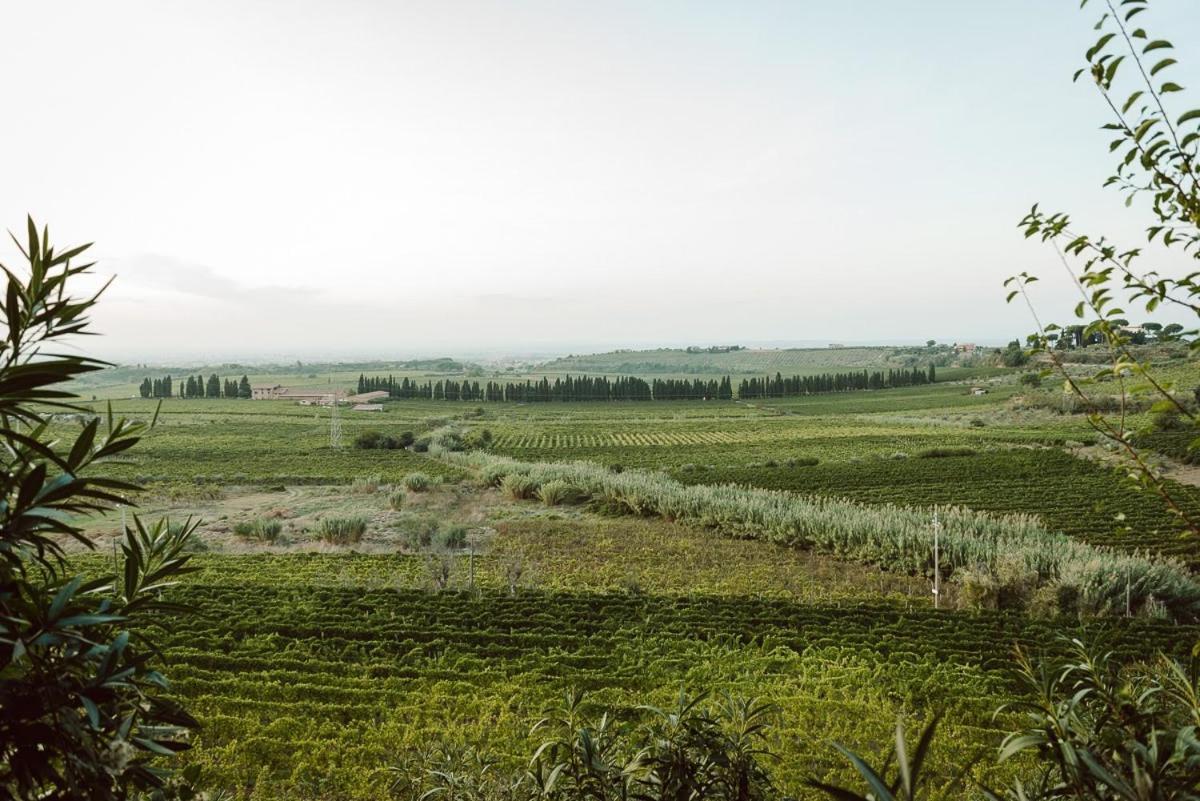Merumalia Wine Resort Frascati Eksteriør billede