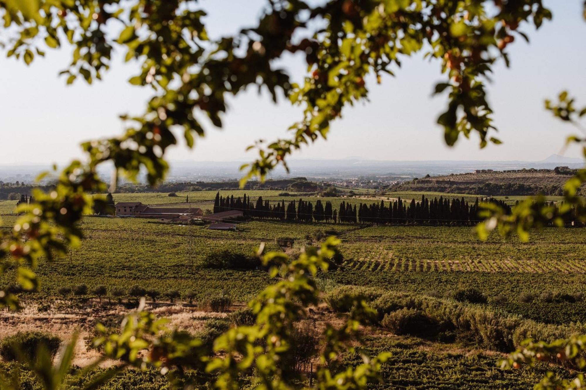 Merumalia Wine Resort Frascati Eksteriør billede