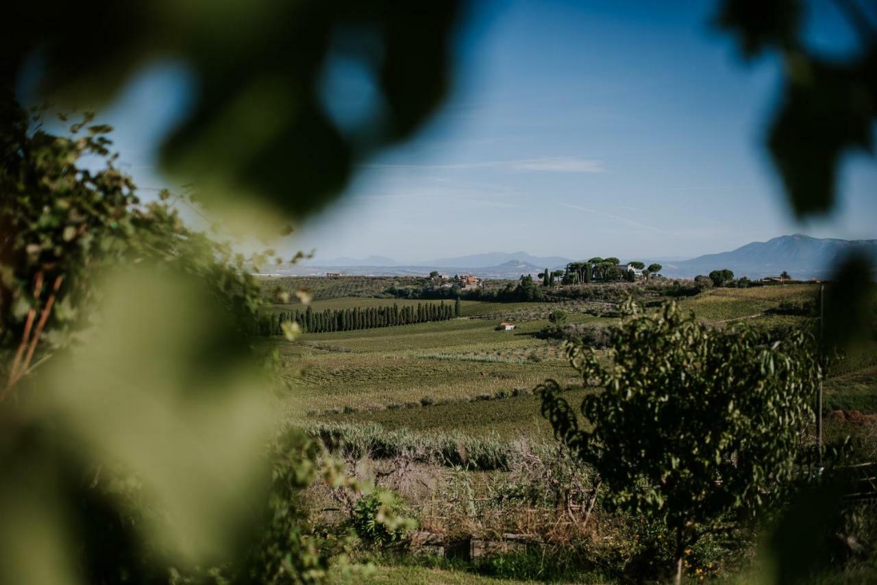 Merumalia Wine Resort Frascati Eksteriør billede